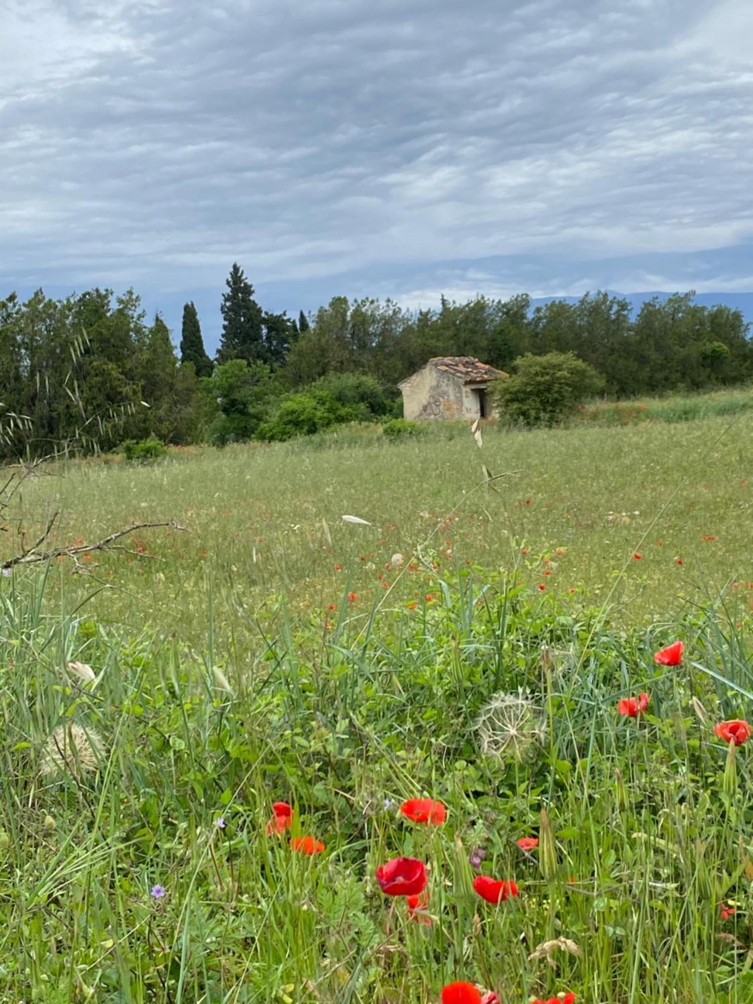 Inspiration Maison Entiere Avec Jardin Holiday home *